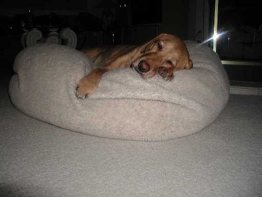Amber is so tired tonight.