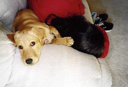Amber meets her adopted mom