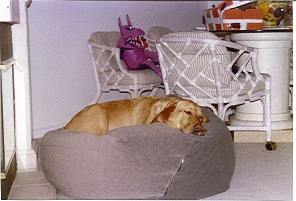 Amber stole Jamees Chair