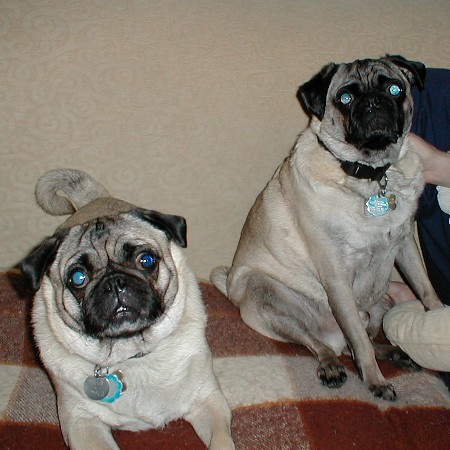 Boris and Igor