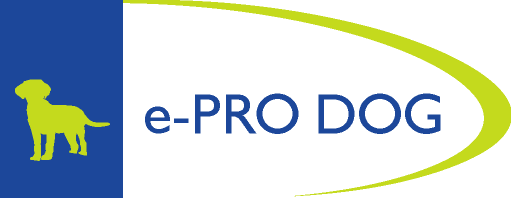 Jamee incorporated Amber into the ePRO logo