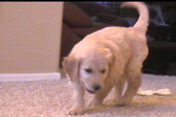 Dakota is full of energy