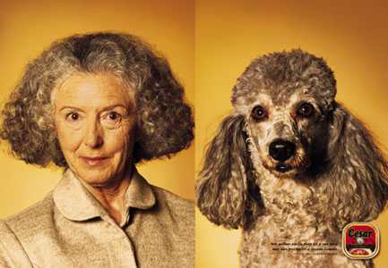 Same hair color