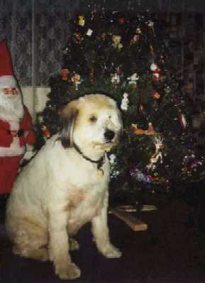 Winston Tyler