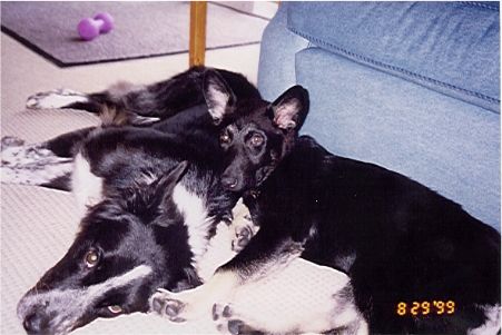 Shiloh and Katy
