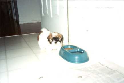 Spencer