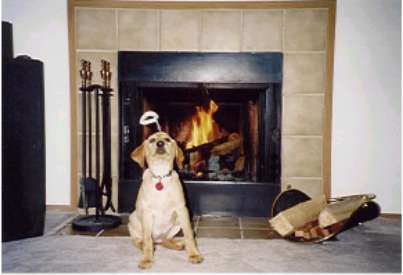Amber's 1st Christmas
