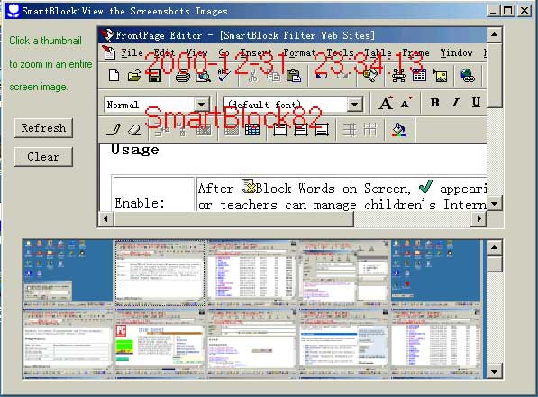 viewscreendemo.jpg (53542 bytes)