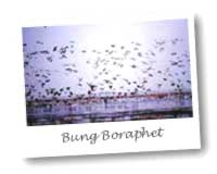 Bung Boraphet Freshwater Lake