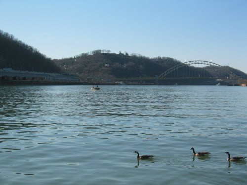 You can't tell from this shot that the river's kinda dirty, lol