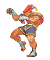 Adon of STREET FIGHTER