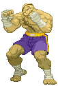 Sagat of STREET FIGHTER