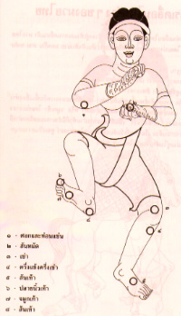 The Striking Surfaces Of The Body