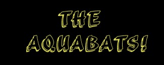 The Aquabats!
