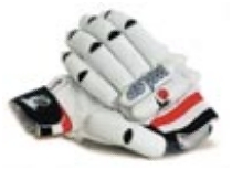 WaspAC1000Gloves.jpg