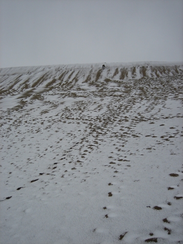friend climbing sand dune