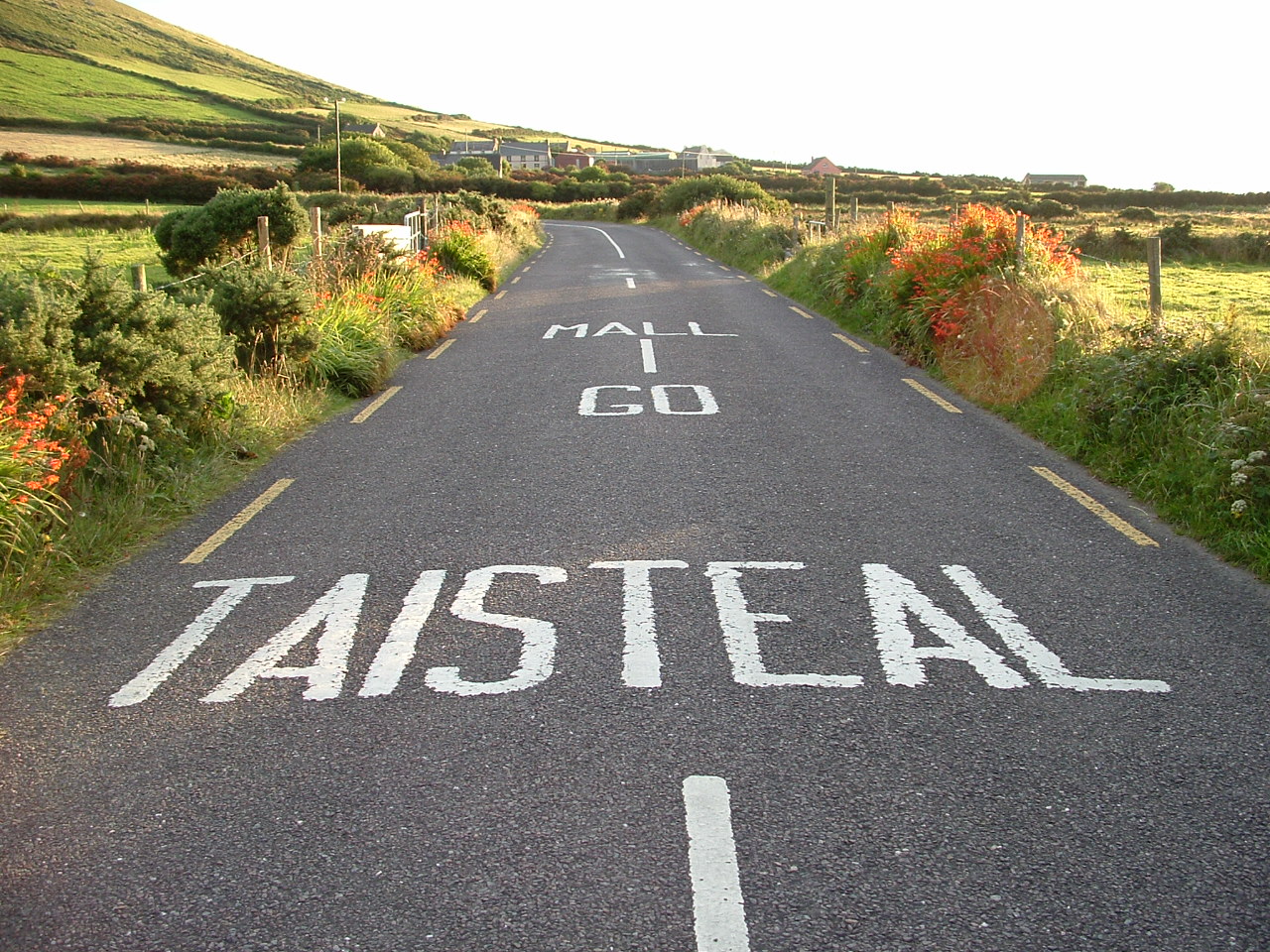 Irish only road sign �