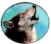 Wooo.gif (2629 bytes)