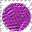 fuscia_b.gif (2445 bytes)