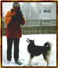 sashasnow.jpg (7354 bytes)