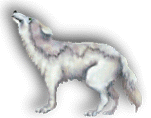 wolflite_kr.gif (37414 bytes)