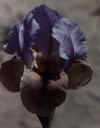 ht.jpg (8521 bytes)