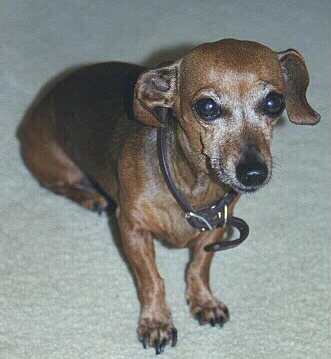 Sally1.jpg (43096 bytes)