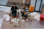 Photo Gallery 01