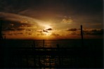 Photo Gallery 02