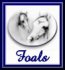 buttonfoals.jpg (2075 bytes)