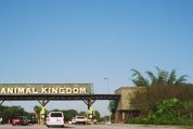 The sign was cut off... it read, 
''Disney's Captured and Trapped Animal Kingdom''.