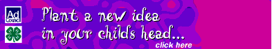 The 4-H Ad Council