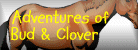 Traveling Adventures of Bud & Clover