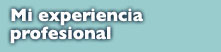 Mi Experiencia Profesional