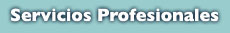 Servicios Profesionales