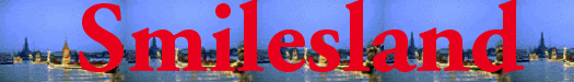 Smilesland Icon