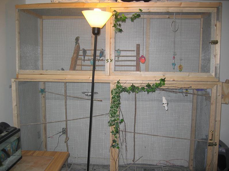 Aviary