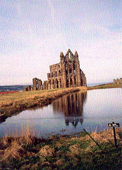 Whitby Abbey--So pretty!!