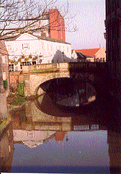 Did I put this picture upside-down? You be the judge!