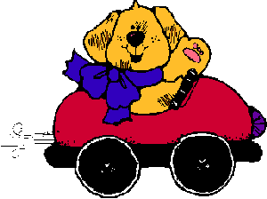 dog driving car