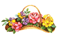 rose basket