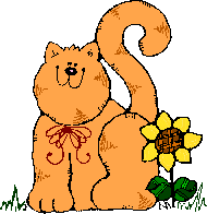cat/sunflowers