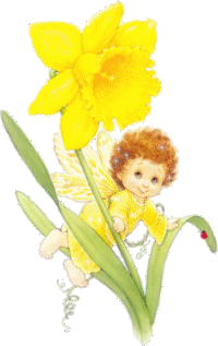 elf/daffodils