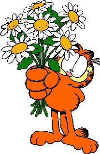 Garfield/daisies