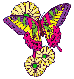butterflies on daisies