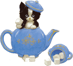cat