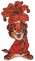 tiger/tigerlily