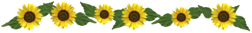 sunflower line
