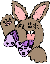 rabbit