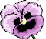 pansy